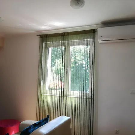 Shumice 베오그라드