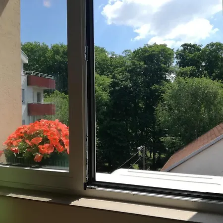 Apartman Shumice Belgrád